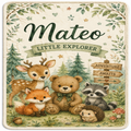 A square decorative print or sign featuring a whimsical forest illustration with the large word 'Mateo' at the top, a banner reading 'Little Explorer,' and a group of cute animals including a deer, teddy bear, fox, raccoon, and hedgehog. A wooden sign on the right says 'Adventure Awaits.