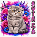 Scottish Fold Cat Floral T-Shirt