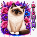 Birman Cat Floral T-Shirt