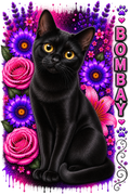 A black cat with yellow eyes sitting in front of a colorful floral background with pink and purple flowers, plus the word 'BOMBAY' and paw prints on the right side.