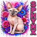 A stylized illustration of a hairless Sphynx cat centered against a vivid floral and paint-splatter background, with the word 'SPHYNX' printed vertically in glittery pink letters along the right side.