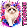 A stylized cat portrait with a fluffy cream and brown cat centered against a vivid floral watercolor background in pink, purple, and blue. The word 'RAGDOLL' appears vertically on the right in glittery pink letters.